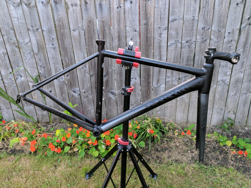 canyon ultimate frameset